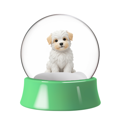 Custom Cartoon Snow Globe